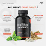 ALPHA01 Panax Ginseng Extract 7500Mg | High Strength Korean Red Ginseng | Rich in Ginsen - Image 2