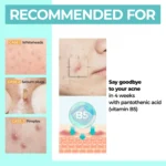 Numbuzin No.1 Pantothenic B5 Active Soothing Cream 80ml