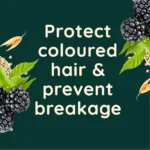 Aveeno Colour Protect Blackberry & Quinoa Shampoo 300ml - Image 3