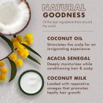 SheaMoisture 100% Virgin Coconut Oil Daily Hydration Shampoo with Coconut Milk & Acacia Senegal – 384ml - Image 2