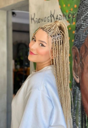 মাইক্রো / বক্স ব্রেইড (Micro / Box Braids)