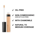 Maybelline Fit Me Concealer 10 Light 6.8 ml Price in Bangladesh
